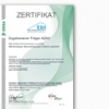 Zertifikat EBI-Esslinger-Beschäftigungs-Initiative gGmbH - AZAV-Träger